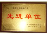 2011年度武汉担保行业先进单位