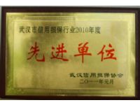 武汉市信用担保行业2010年度先进单位