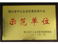 2013年湖北省中小企业信用担保协会颁发的“示范机构“称号
