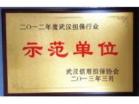 2012年度武汉担保行业示范单位