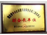 湖北省中小企业信用担保协会第二届理事会副会长单位