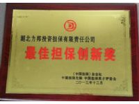力邦公司荣获《中国担保》杂志社、中国担保先锋、中国担保英才评委会授予的“最佳担保创新奖”